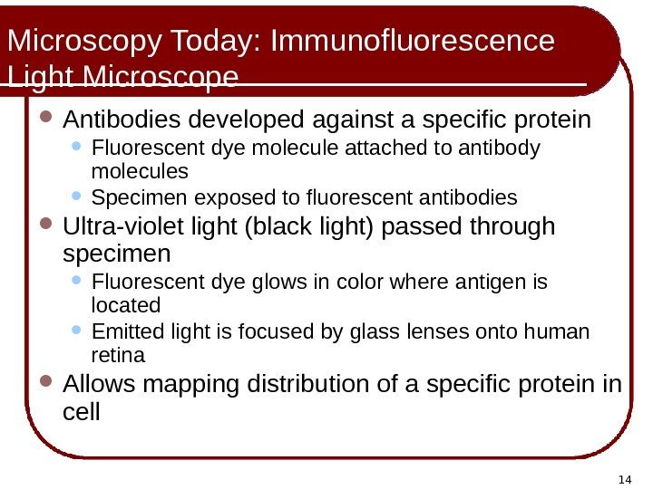 14 Microscopy Today: Immunofluorescence Light Microscope Antibodies developed against a specific protein Fluorescent dye