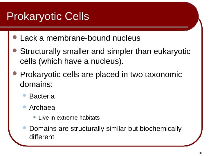 18 Prokaryotic Cells Lack a membrane-bound nucleus Structurally smaller and simpler than eukaryotic cells