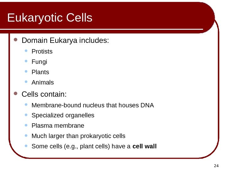 24 Eukaryotic Cells Domain Eukarya includes:  Protists Fungi Plants Animals Cells contain: 