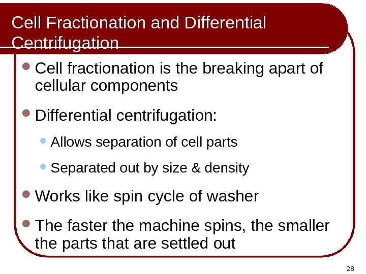 28 Cell Fractionation and Differential Centrifugation Cell fractionation is the breaking apart of cellular