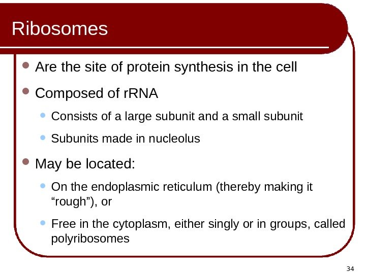 34 Ribosomes Are the site of protein synthesis in the cell Composed of r.