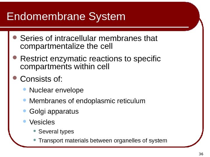 36 Endomembrane System Series of intracellular membranes that compartmentalize the cell  Restrict enzymatic