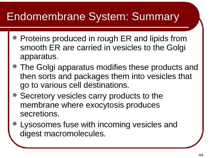 44 Endomembrane System: Summary Proteins produced in rough ER and lipids from smooth ER