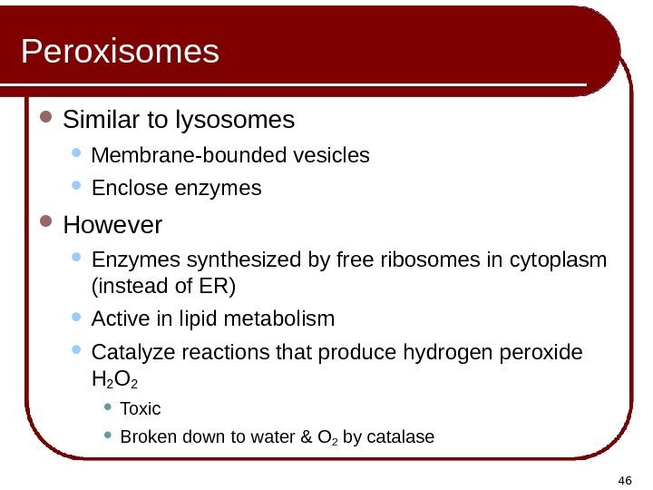 46 Peroxisomes Similar to lysosomes Membrane-bounded vesicles Enclose enzymes However Enzymes synthesized by free