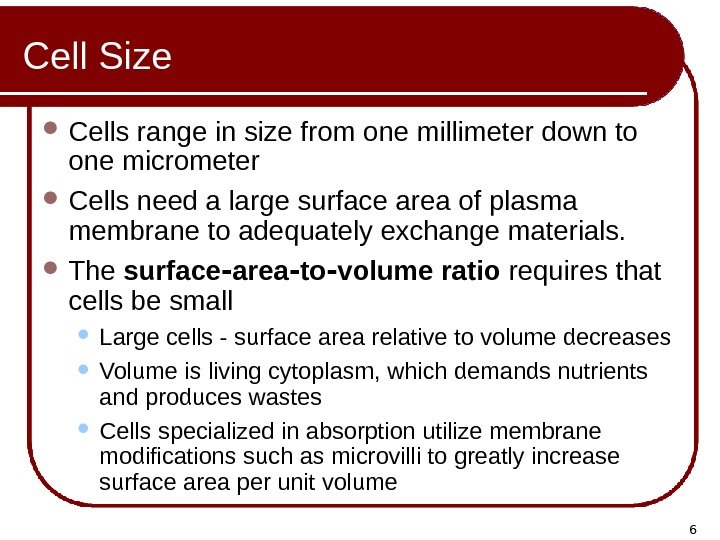 6 Cell Size Cells range in size from one millimeter down to one micrometer