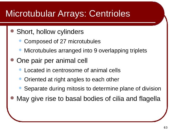 63 Microtubular Arrays: Centrioles Short, hollow cylinders Composed of 27 microtubules Microtubules arranged into