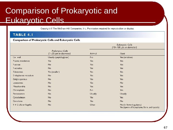 67 Comparison of Prokaryotic and Eukaryotic Cells 