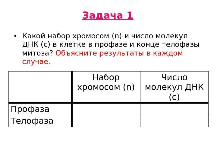 Набор хромосом и число молекул днк