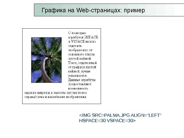 Графика на Web -страницах: пример IMG SRC=PALMA. JPG ALIGN=LEFT HSPACE=30 VSPACE=30 