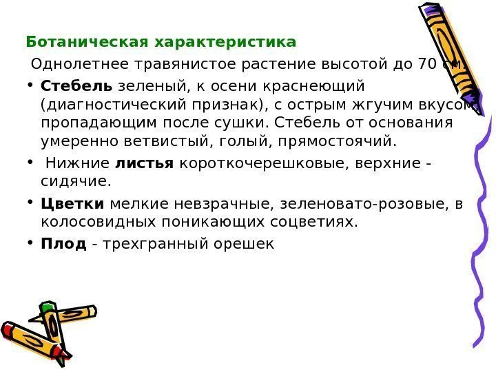 Ботаническая характеристика  Однолетнее травянистое растение высотой до 70 см.  • Стебель зеленый,