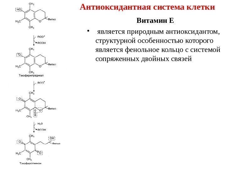 Антиоксидантная система клетки Витамин Е •  является природным антиоксидантом,  структурной особенностью которого