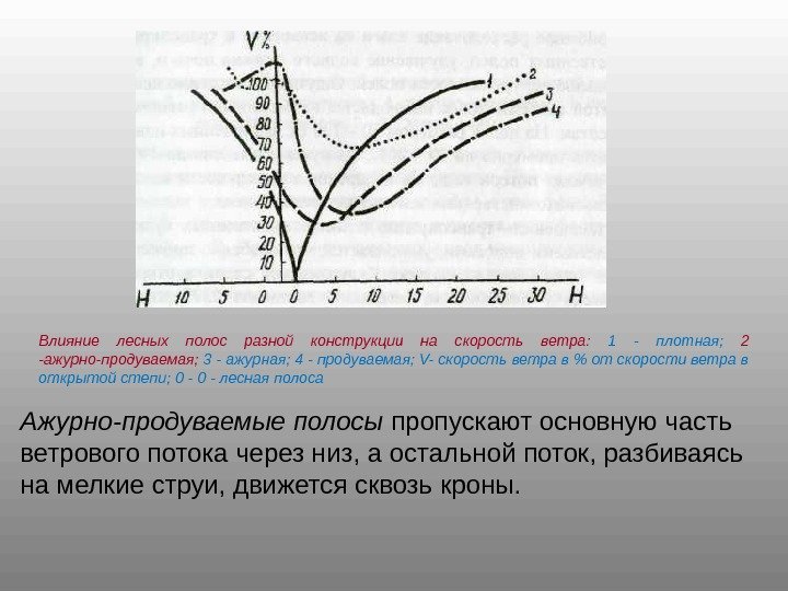 Влияние лесных полос разной конструкции на скорость ветра:  1 - плотная;  2