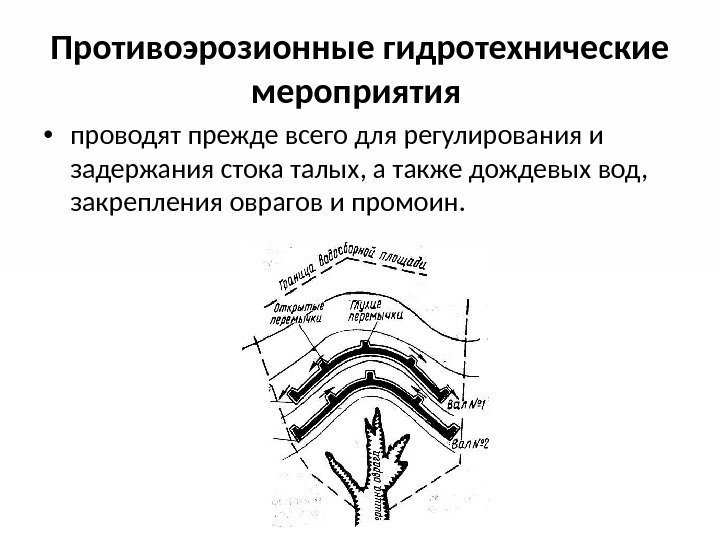 Какие мероприятия проводятся для борьбы с эрозией