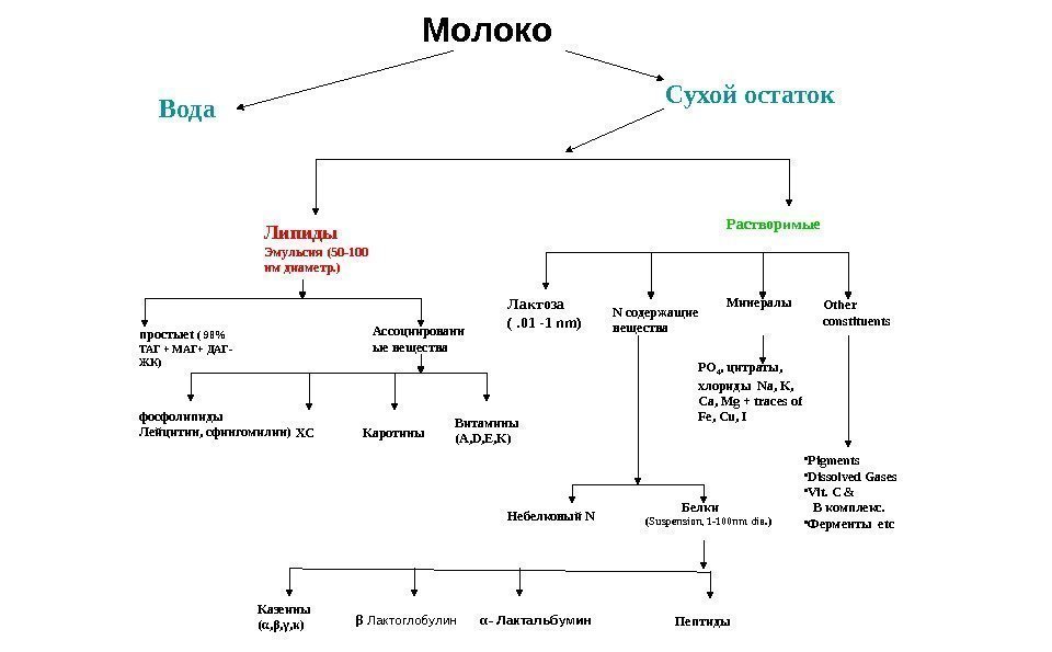 Молоко простые t ( 98 ТАГ + M АГ + ДАГ-  ЖК) фосфолипиды