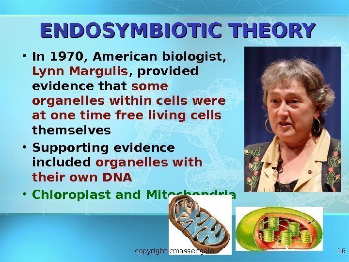 16 ENDOSYMBIOTIC THEORY • In 1970, American biologist,  Lynn Margulis , provided evidence