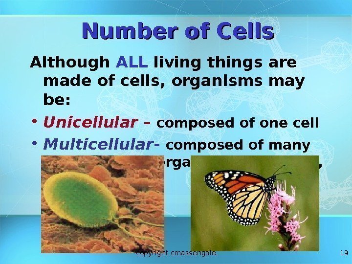 19 Number of Cells Although ALL living things are made of cells, organisms may