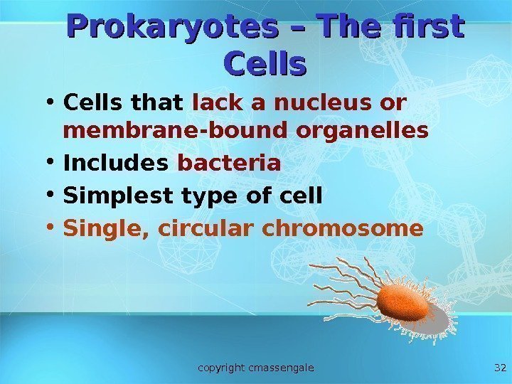 32 Prokaryotes – The first Cells • Cells that lack a nucleus or membrane-bound