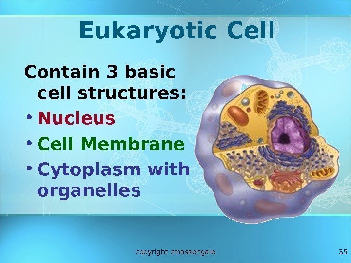 35 Eukaryotic Cell Contain 3 basic cell structures:  • Nucleus • Cell Membrane