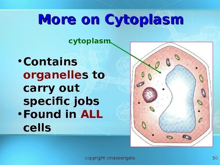 50 • Contains organelle s to carry out specific jobs • Found in ALL