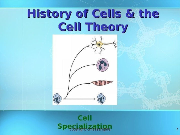 7 History of Cells & the Cell Theory Cell Specialization copyright cmassengale 