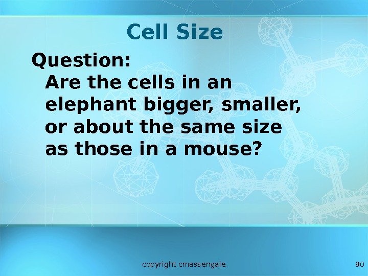 90 Cell Size Question: Are the cells in an elephant bigger, smaller,  or