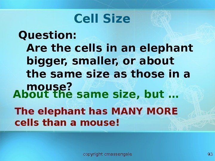 93 Cell Size Question: Are the cells in an elephant bigger, smaller, or about