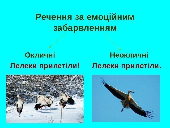 Речення за емоційним забарвленням   Окличні      Неокличні Лелеки