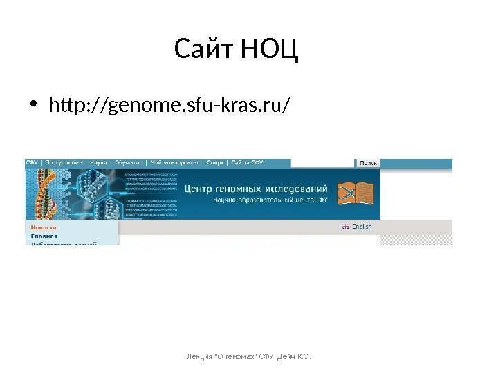Сайт НОЦ • http: //genome. sfu-kras. ru/ Лекция О геномах СФУ Дейч К. О.