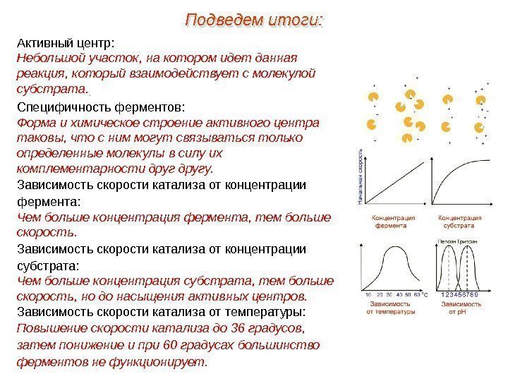 Активный центр: Небольшой участок, на котором идет данная реакция, который взаимодействует с молекулой субстрата.