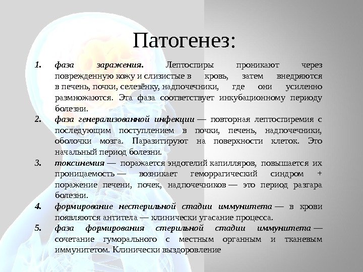 Патогенез: 1. фаза заражения.  Лептоспиры проникают через поврежденную кожу и слизистые в кровь,