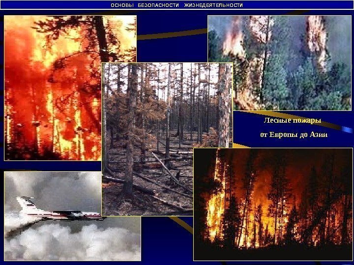 Лесные пожары  от Европы до Азии. ОСНОВЫ  БЕЗОПАСНОСТИ  ЖИЗНЕДЕЯТЕЛЬНОСТИ 