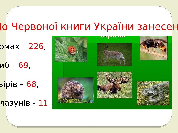 До Червоної книги України занесено: комах – 226 , риб – 69 ,