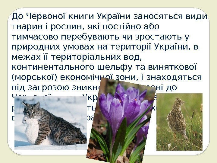 До Червоної книги України заносяться види тварин і рослин, які постійно або тимчасово перебувають