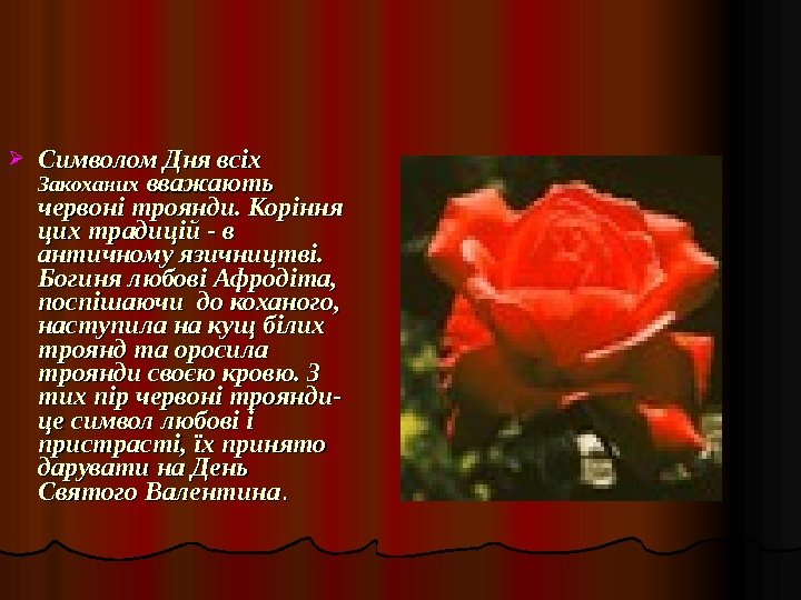  Символом Дня всіх Закоханих вважають червоні троянди. Коріння цих традицій - в античному