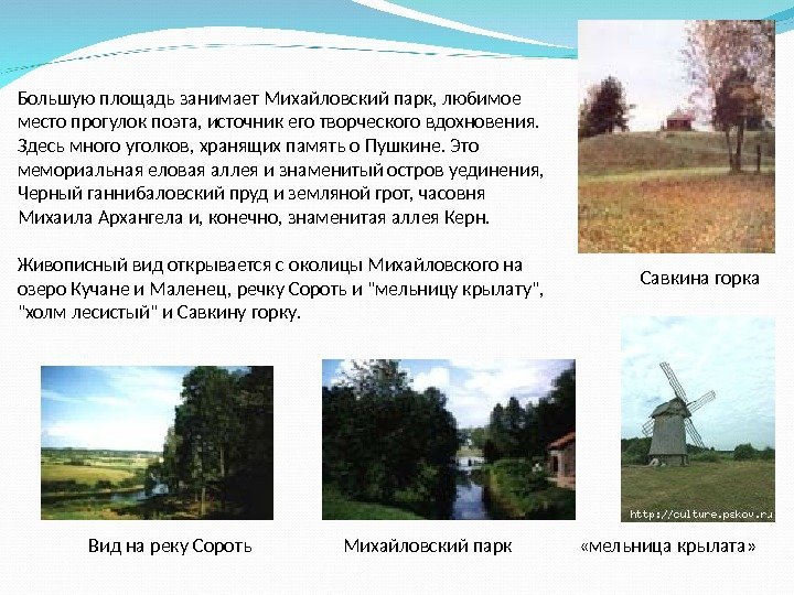 Большую площадь занимает Михайловский парк, любимое место прогулок поэта, источник его творческого вдохновения. 