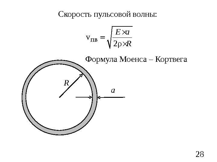 28 Скорость пульсовой волны: v 2 ρE a R  a. R Формула Моенса