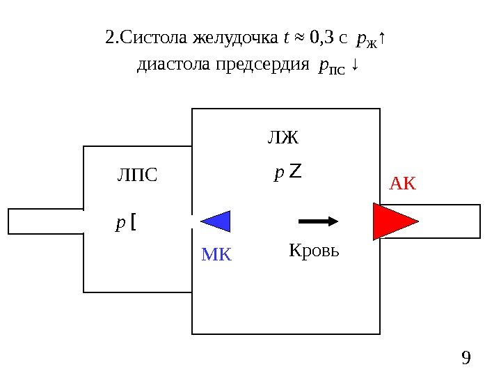 9 ЛЖ ЛПС МК АК 2. Систола желудочка t  ≈ 0, 3 с