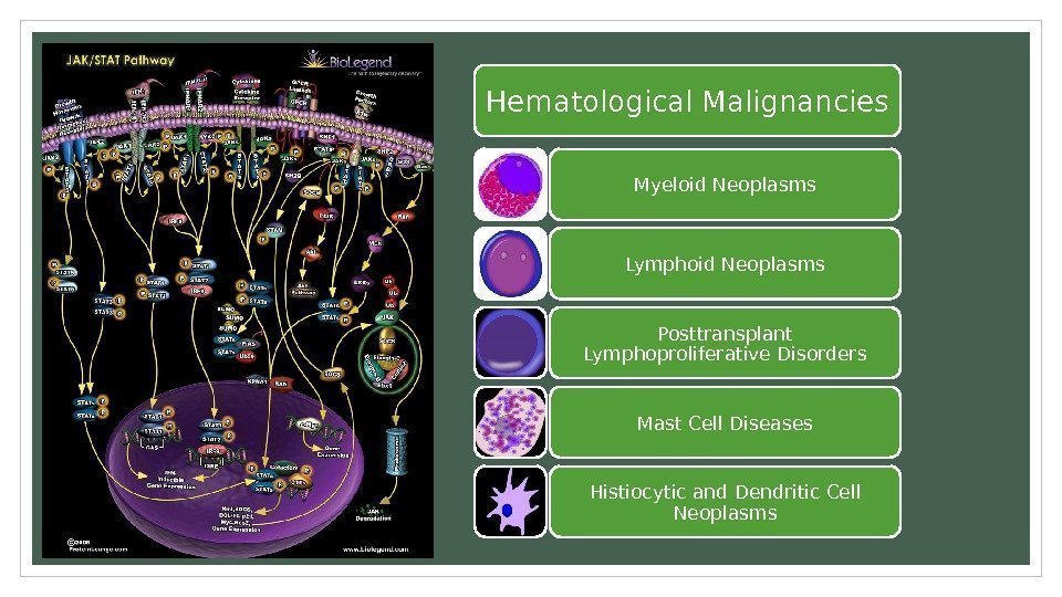 Hematological Malignancies Myeloid Neoplasms Lymphoid Neoplasms Posttransplant Lymphoproliferative Disorders Mast Cell Diseases Histiocytic and