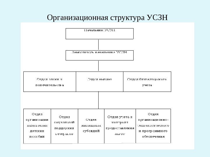 Организационная структура УСЗН 