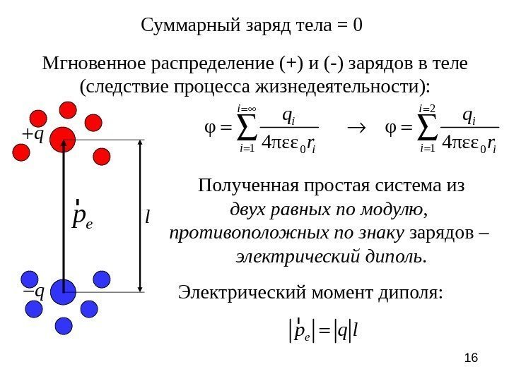 16 Мгновенное распределение (+) и (-) зарядов в теле (следствие процесса жизнедеятельности): Суммарный заряд
