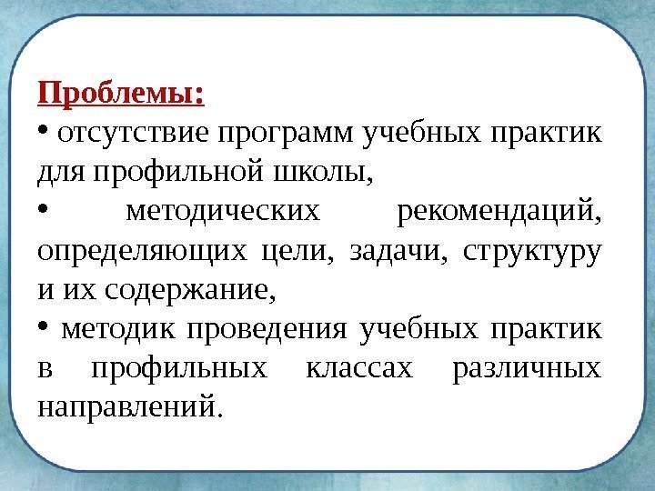 Проблемы:  •  отсутствие программ учебных практик для профильной школы,  • 