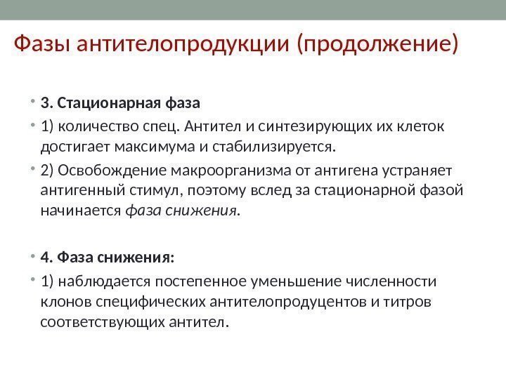  • 3. Стационарная фаза • 1) количество спец. Антител и синтезирующих их клеток