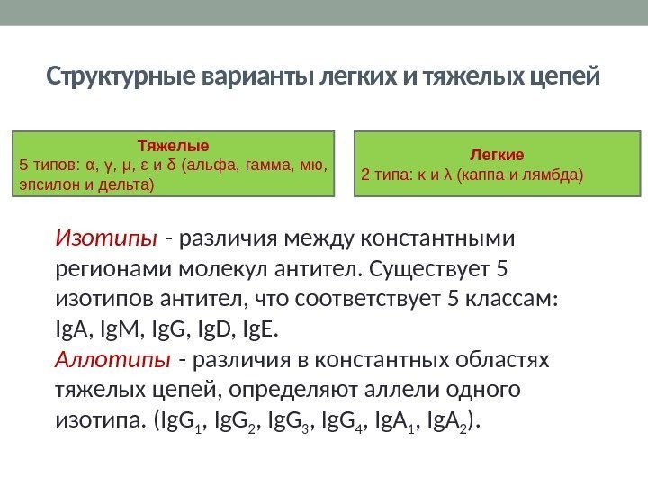 Структурные варианты легких и тяжелых цепей Изотипы - различия между константными регионами молекул антител.