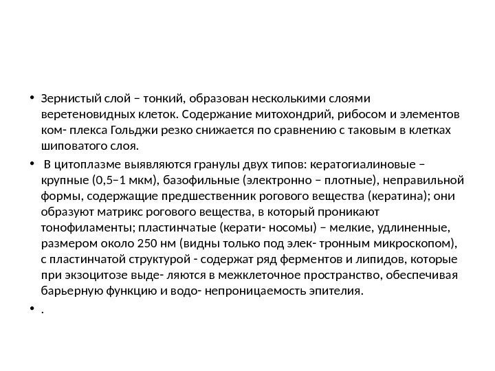  • Зернистый слой – тонкий, образован несколькими слоями веретеновидных клеток. Содержание митохондрий, рибосом