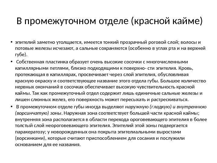  В промежуточном отделе (красной кайме) • эпителий заметно утолщается, имеется тонкий прозрачный роговой