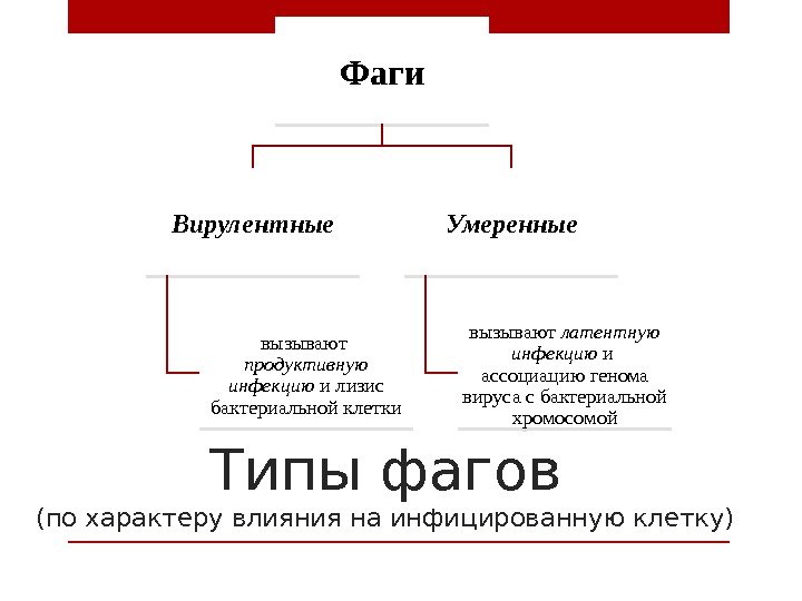 Типы фагов (по характеру влияния на инфицированную клетку) Фаги Вирулентные вызывают  продуктивную инфекцию