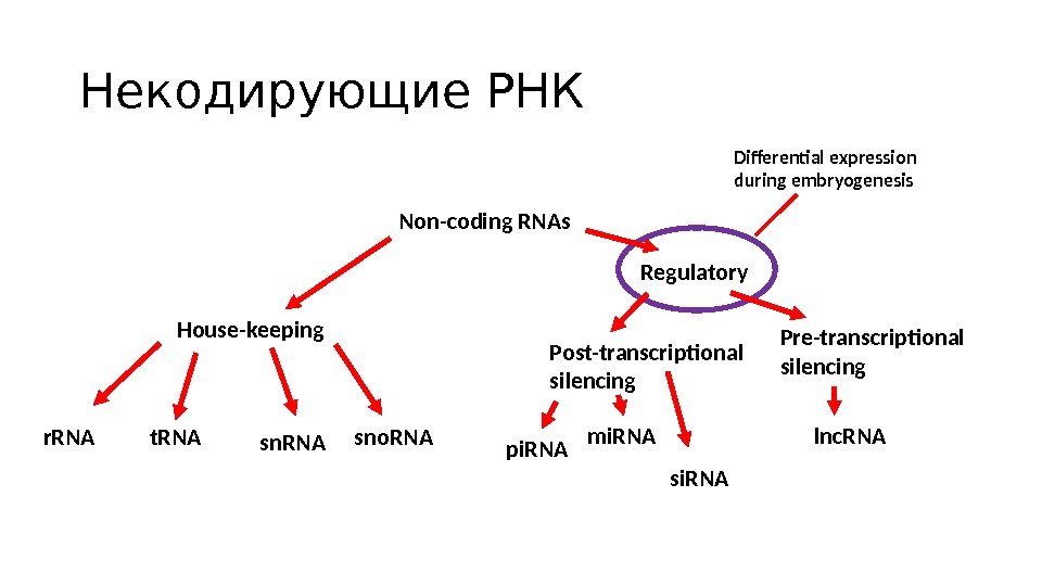 Некодирующая цепь. Длинные некодирующие РНК функции. Структура некодирующих РНК. Белок кодирующие РНК. Виды РНК кодирующие и некодирующие.