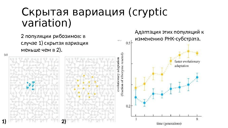 Скрытая вариация (cryptic variation) 2 популяции рибозимов: в случае 1) скрытая вариация меньше чем