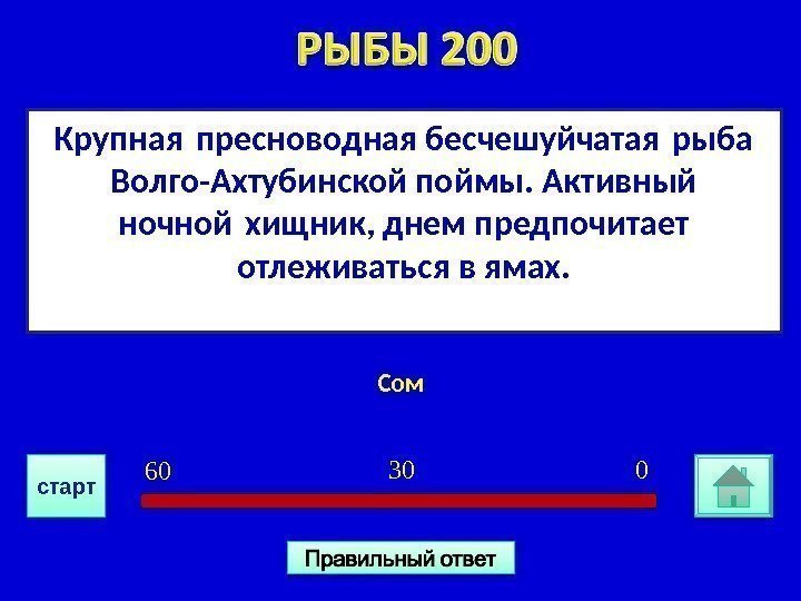 Крупная пресноводная бесчешуйчатая рыба  Волго-Ахтубинской поймы. Активный ночной хищник, днем предпочитает  отлеживаться