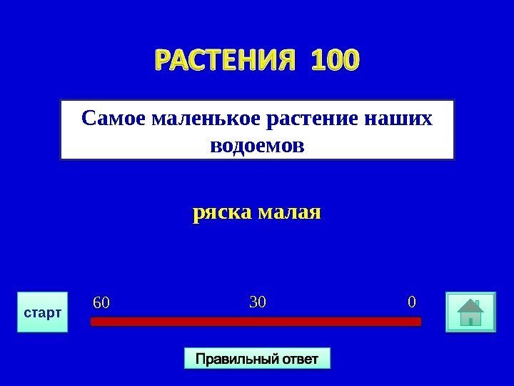 ряска малая. Самое маленькое растение наших водоемов 030 6 0 старт09 12 01 